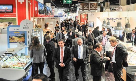 jelly factory jelly factory